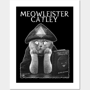 Meowleister Posters and Art